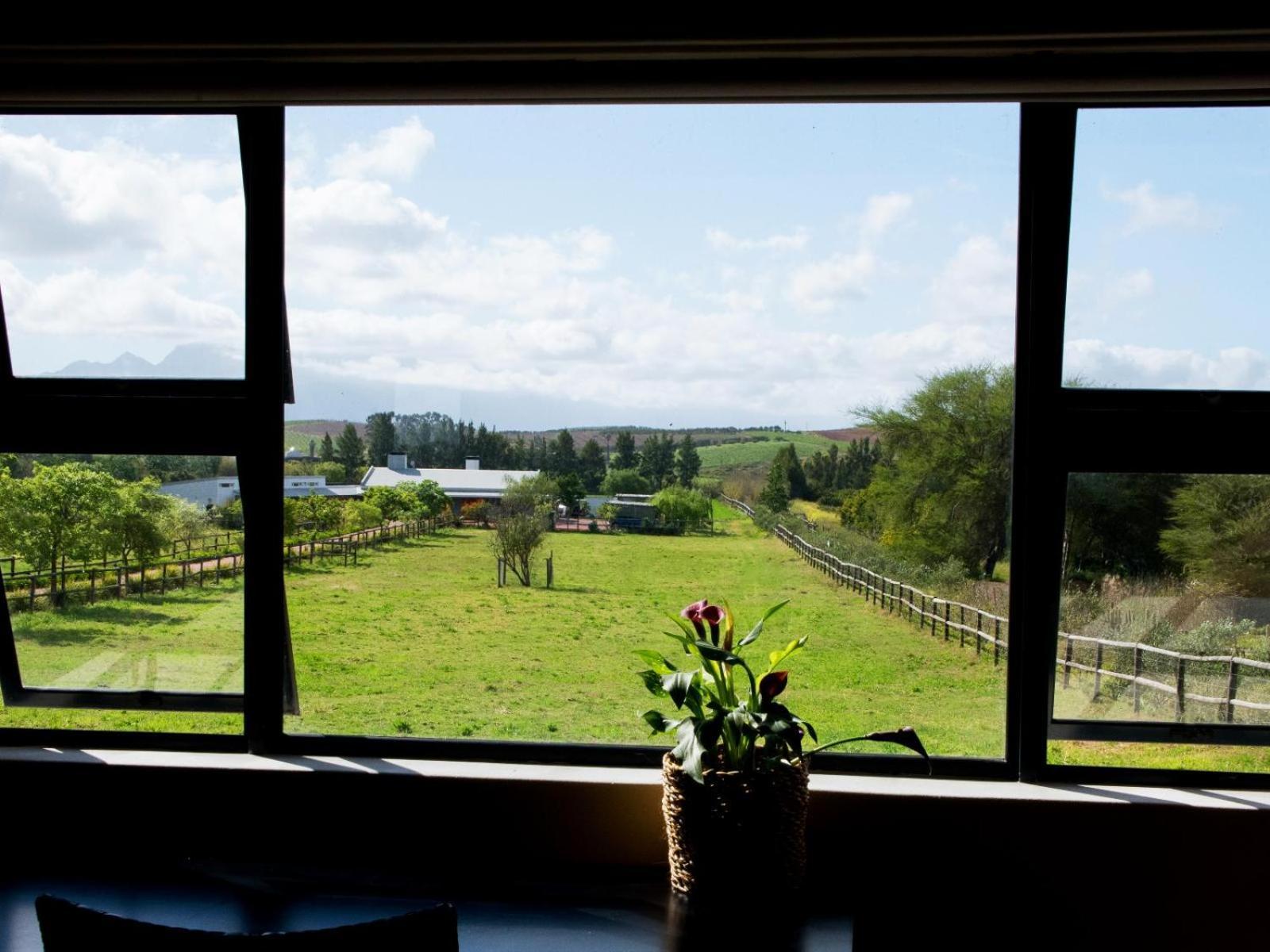 Galloway Guest House Robertson Chambre photo